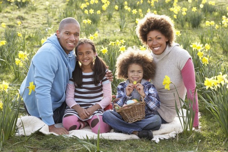 Family Relaxing In Field Of Spring Daffodilsの写真素材