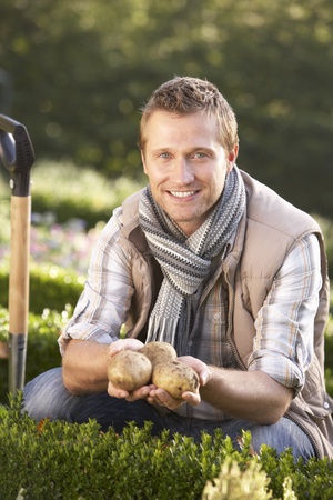 Young man posing with potatoes in gardenの写真素材
