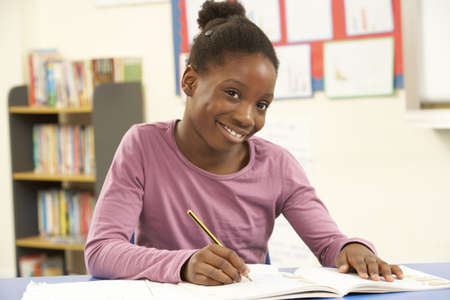 Schoolgirl Studying In Classroom