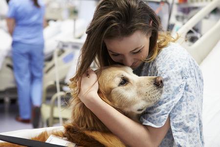 Therapy Dog Visiting Young Female Patient In Hospital