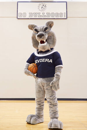 High School Mascot For Basketball Teamの写真素材