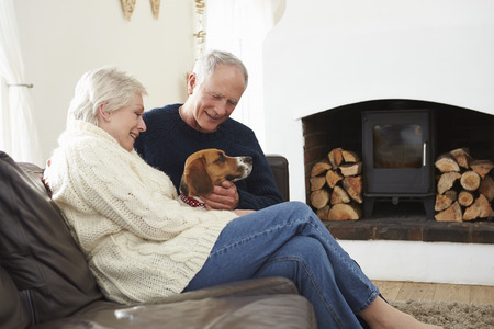 Senior Couple Relaxing At Home With Pet Dogの写真素材