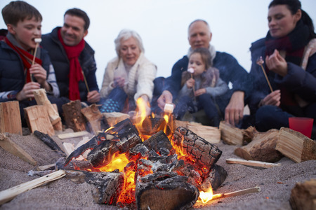 Multi Generation Family Having Barbeque On Winter Beachの写真素材