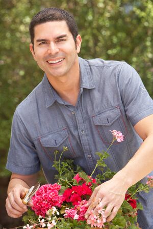Hispanic Man Working In Garden Tidying Pots