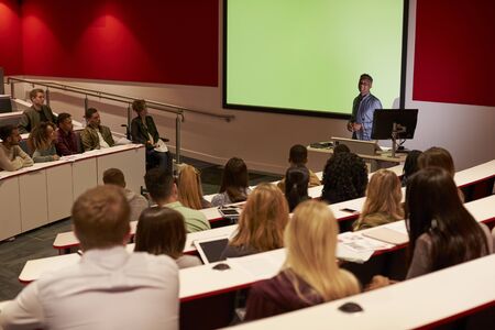 Young adult students at a university lecture, back viewの写真素材