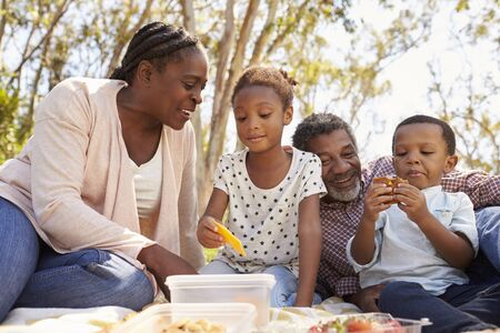 Grandparents And Grandchildren Enjoy Picnic In Park Togetherの写真素材