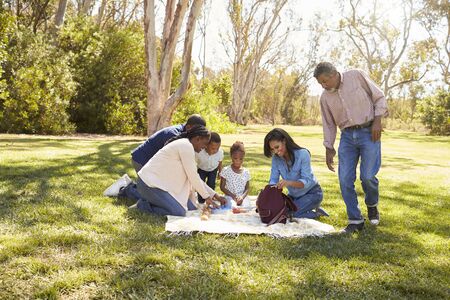 Multi Generation Family Enjoying Picnic In Park Together