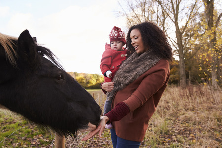 Young Girl On Autumn Walk With Mother Stroking Horseの写真素材