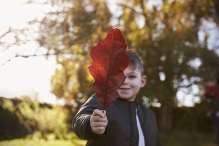 Boy Playing With Autumn Leaf in Gardenの写真素材