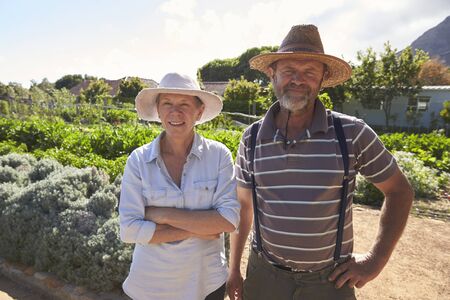 Portrait Of Mature Couple Standing On Community Allotmentの写真素材
