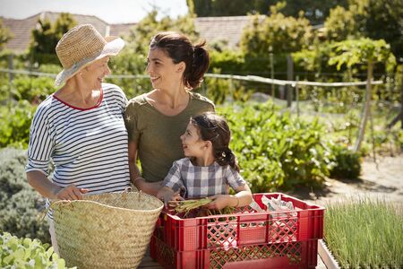 Mother With Adult Daughter And Granddaughter On Allotment
