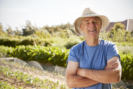 Portrait Of Mature Man Standing On Allotmentの写真素材