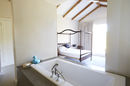 Interior Of Contemporary Open Plan Bedroom With Bathの写真素材