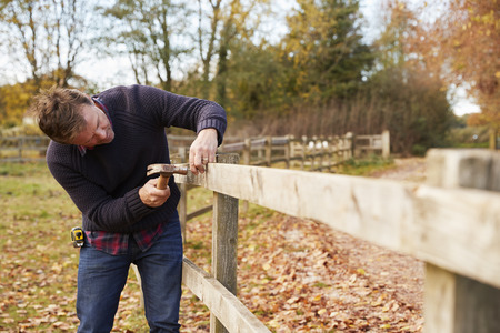 Mature Man Hammering Nail Into Repaired Fenceの写真素材