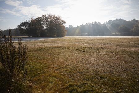 Burnham Beeches, UK - 7 November 2016: Frosty Autumn Landscape At Burnham Beeches In Buckinghamshire