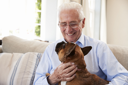 Senior Man Sitting On Sofa At Home With Pet French Bulldogの写真素材