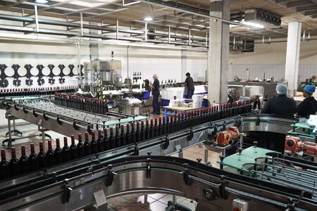 Colleagues working in the bottling plant at a wine factoryの写真素材