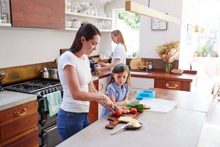 Same Sex Female Couple With Daughter Preparing School Lunchbox At Home Together