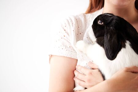 Close Up Of Child Holding Miniature Black And White Flop Eared Rabbit On White Backgroundの写真素材