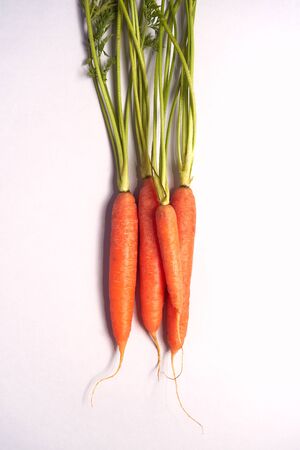 Overhead View Of Bunch Of Fresh Carrots With Tops On White Backgroundの写真素材