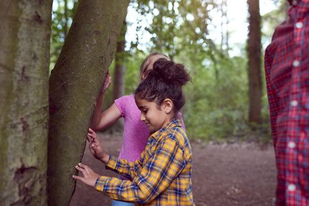 Girls With Male Team Leader At Outdoor Activity Camp Studying Tree Bark  In Forestの写真素材