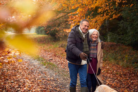 Loving Senior Couple Walking With Pet Golden Retriever Dog Along Autumn Woodland Path Through Treesの写真素材