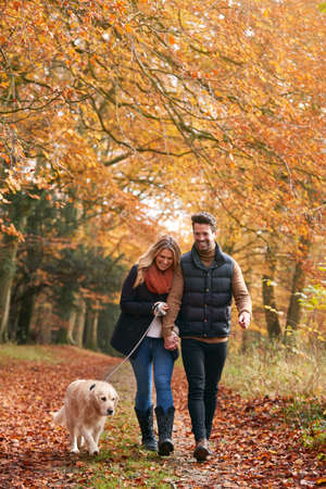 Loving Couple Walking With Pet Golden Retriever Dog Along Autumn Woodland Path Through Treesの写真素材