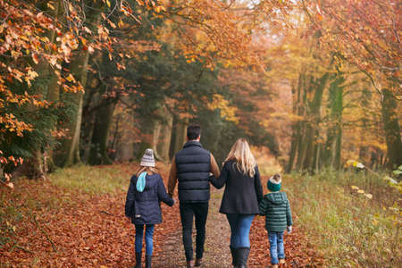 Rear View Of Family Walking Arm In Arm Along Autumn Woodland Path Togetherの写真素材