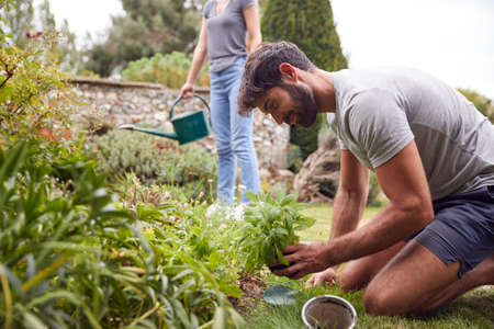 Couple Working Outdoors In Garden At Home Digging And Planting