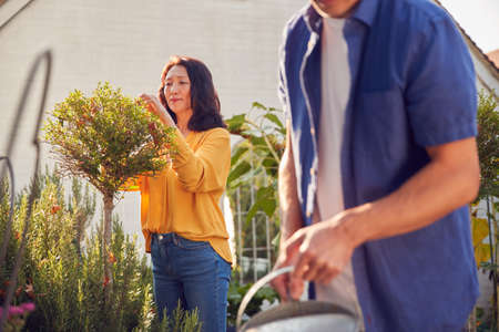 Close Up Of Mature Asian Couple At Work Watering And Caring For Plants In Garden At Homeの写真素材