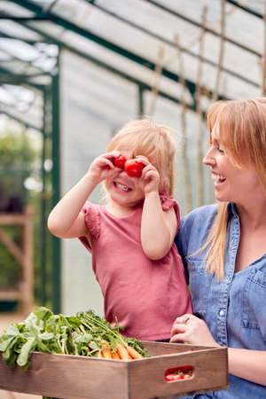 Mother With Daughter Making Funny Face With Home Grown Tomatoes In Greenhouseの写真素材