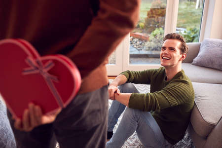 Man Surprising Same Sex Partner At Home With Heart Shaped Gift Held Behind His Backの写真素材