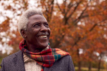 Head And Shoulders Portrait Of Senior Man On Walk Through Autumn Countryside Against Golden Leavesの写真素材