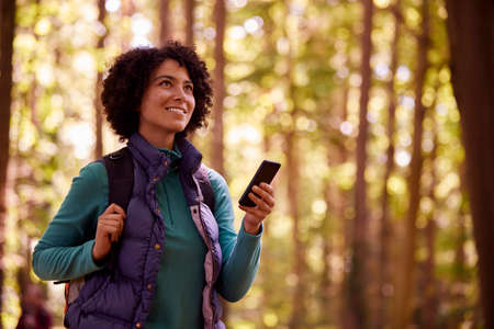 Woman With Mobile Phone On Holiday Hiking Through Woods Using GPS App To Navigate