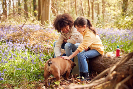 Two Children Walking Pet Dog Through Bluebell Woods In Springtime Taking A Break Sitting On Logの写真素材