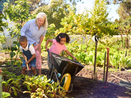Grandchildren Helping Grandmother Working In Vegetable Garden Or Allotment With Barrow At Homeの写真素材