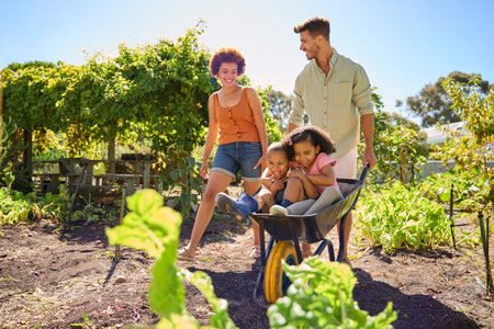 Family With Children Pushed In Barrow By Parents Working In Vegetable Garden Or Allotmentの写真素材
