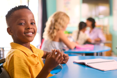 Portrait Of Male Primary Or Elementary School Student At Desk In Multi-Cultural Classの写真素材