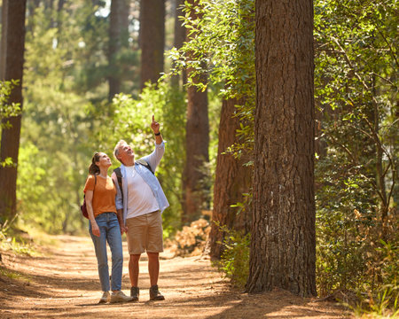 Senior Man Pointing As Retired Couple Hold Hands And Hike Along Trail In Countrysideの写真素材