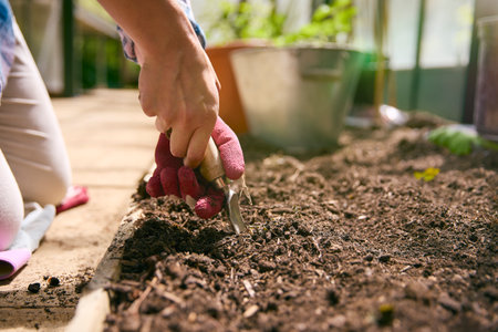Close Up Of Woman Gardening In Greenhouse Preparing Soil For Planting Seedsの写真素材