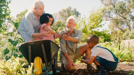 Grandchildren Helping Grandparents Working In Vegetable Garden Or Allotment With Barrow At Homeの写真素材