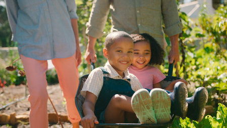 Close Up Of Grandchildren Pushed In Barrow By Grandparents Working In Vegetable Garden Or Allotmentの写真素材