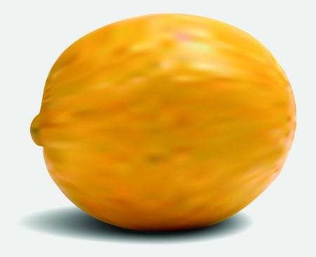 Lemon illustrationのイラスト素材