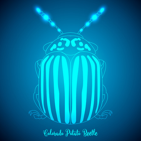 Colorado Potato Beetle and abstract backgrounds blue lights.vector illustration.のイラスト素材
