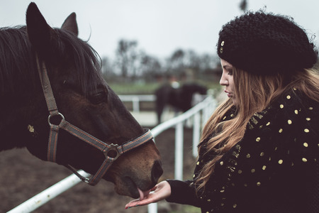 Beautiful blonde girl feeds from a hand and big brown horse racial, wich stand behind the fenceの写真素材