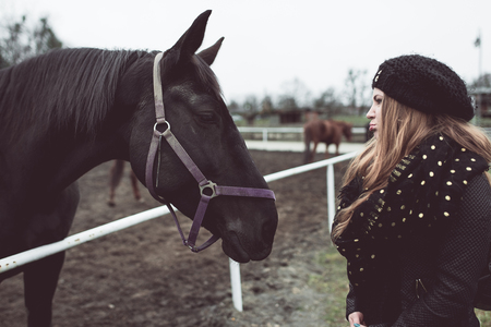 Beautiful big brown horse standing behind the fence looking into eyes of a beautiful girlの写真素材