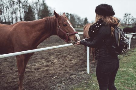 Beautiful blonde girl feeds from a hand and big brown horse racial, wich stand behind the fenceの写真素材