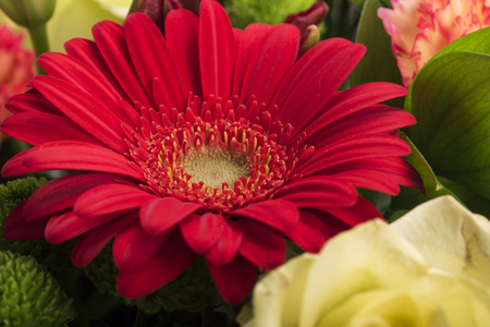 Beautiful bouquet of flowersの写真素材
