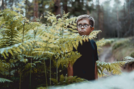Portrait of a thoughtful young teenager boy In the forest.の写真素材