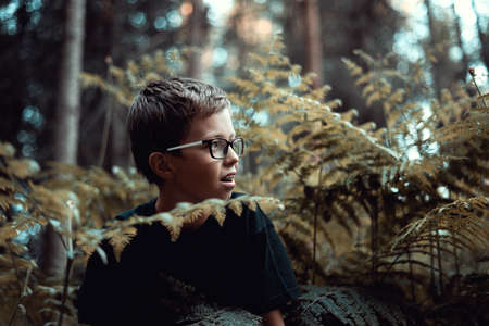 Portrait of happy Young teenager boy playing In the forest, hiding behind fern.の写真素材